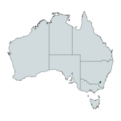 Australian Capital Territory (ACT)