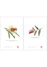 Grevillea Collection 2 Diptych