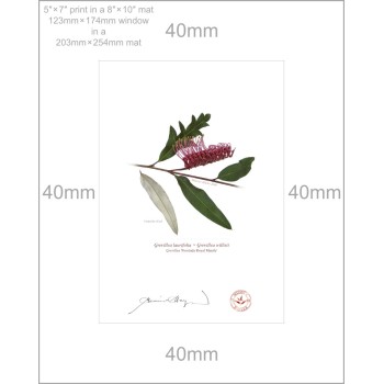 Grevillea 'Poorinda Royal Mantle' Diptych - 5″ × 7″ Prints Ready to Frame With 8″ × 10″ Mats and Backing