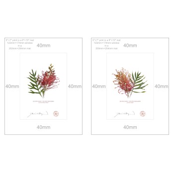 Grevillea Collection 1 Diptych - 5″ × 7″ Prints Ready to Frame With 8″ × 10″ Mats and Backing