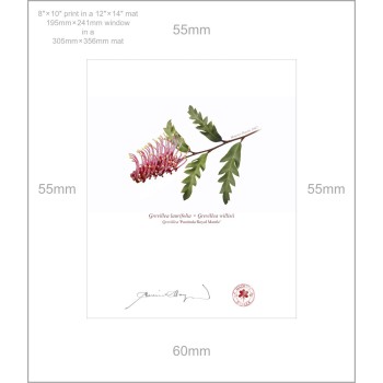 Grevillea 'Poorinda Royal Mantle' Diptych - 8″ × 10″ Prints Ready to Frame With 12″ × 14″ Mats and Backing