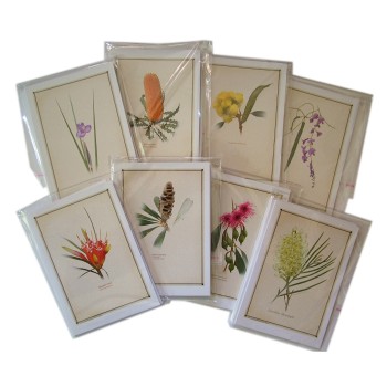 Any Six 5″ × 7″ Blank Cards (Includes Envelopes)