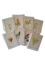 Blank Greeting Cards (5" x 7" approx)