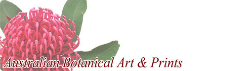 Australian Botanical Art & Prints Coupons & Promo codes